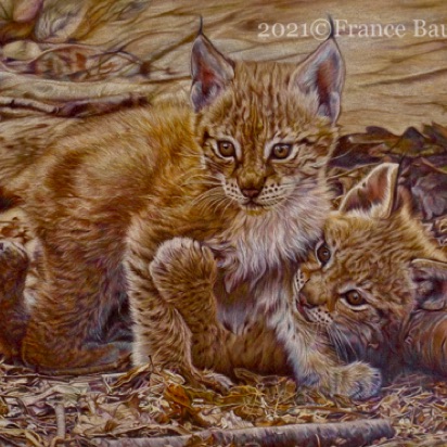 Playful baby lynx  - 120 hours
brown Pastelmat Board
13.5" x 18.5"
Ref: Anne Noël